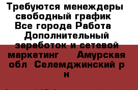 Требуются менеждеры, свободный график - Все города Работа » Дополнительный заработок и сетевой маркетинг   . Амурская обл.,Селемджинский р-н